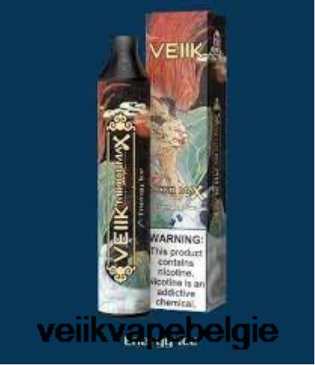 energie ijs
